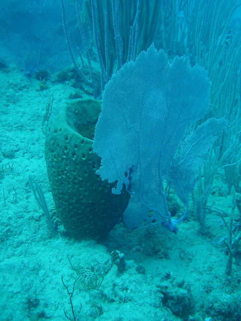 2008-05-12 16-59-36.jpg